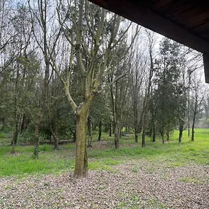 Appartement Woods, Verona