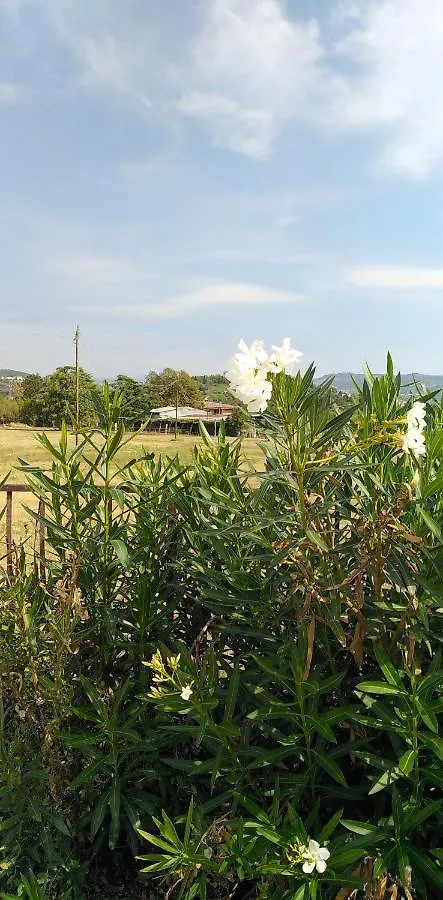 Agricampeggio Oro Verde Verona Campingplatz