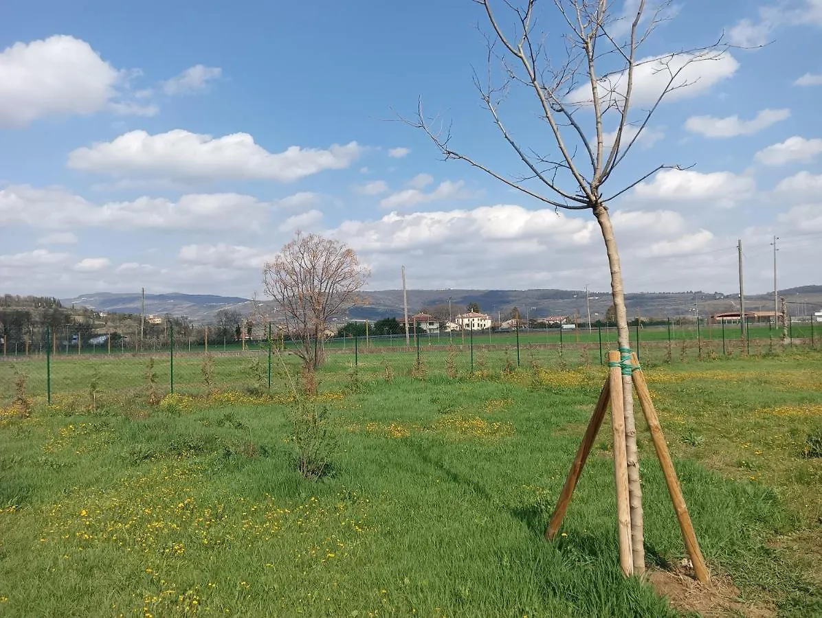 Agricampeggio Oro Verde Verona Italia